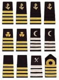 Epaulettes