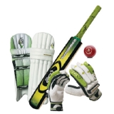 Cricket Accessories